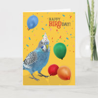Funny Blue and White Budgie Parakeet Birthday