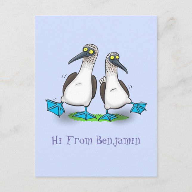 Funny blue footed boobies cartoon illustration postcard (Front)