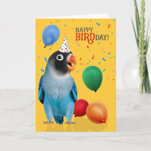 Funny Blue Lovebird Parrot Birthday Card