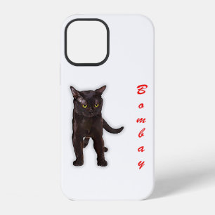Funny Bombay Cat Japan Gift For Dad Mom Brother iPhone 12 Case