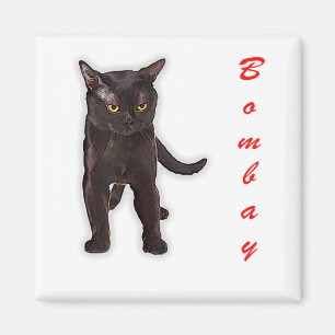 Funny Bombay Cat Japan Gift For Dad Mom Brother Magnet