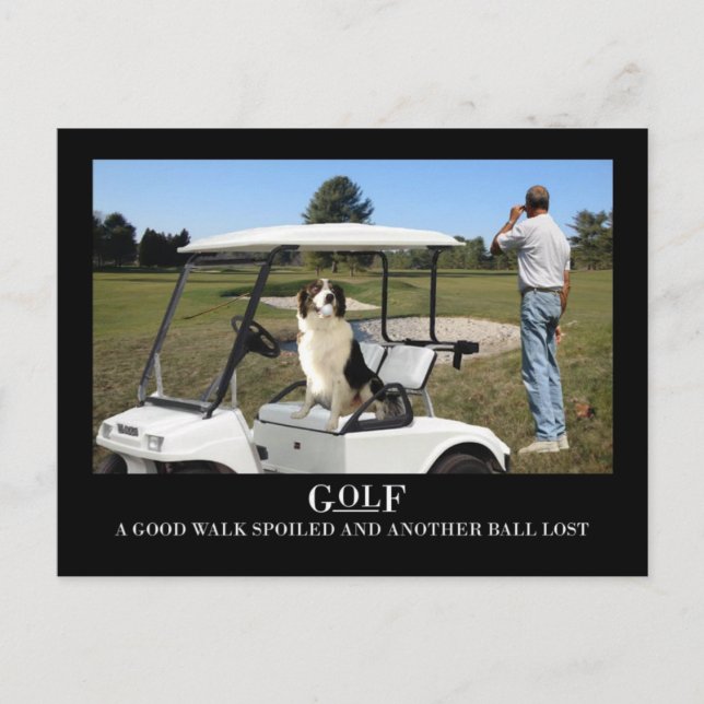 Funny Border Collie Dog Postcard, lost ball Postcard (Front)