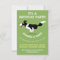 Funny Border Collie dog running cartoon