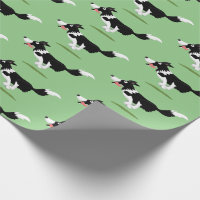 Funny Border Collie dog running cartoon