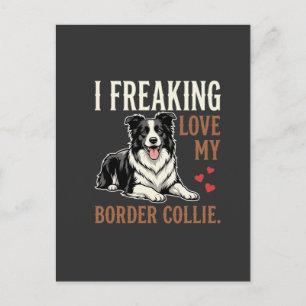 Funny Border Collie Love Dog Postcard