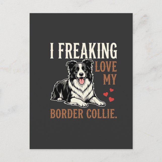 Funny Border Collie Love Dog Postcard (Front)