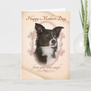 Funny Border Collie Mother's Day Card