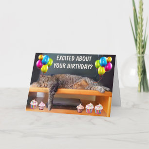 Funny Bored Cat Birthday Folded Greeting Card