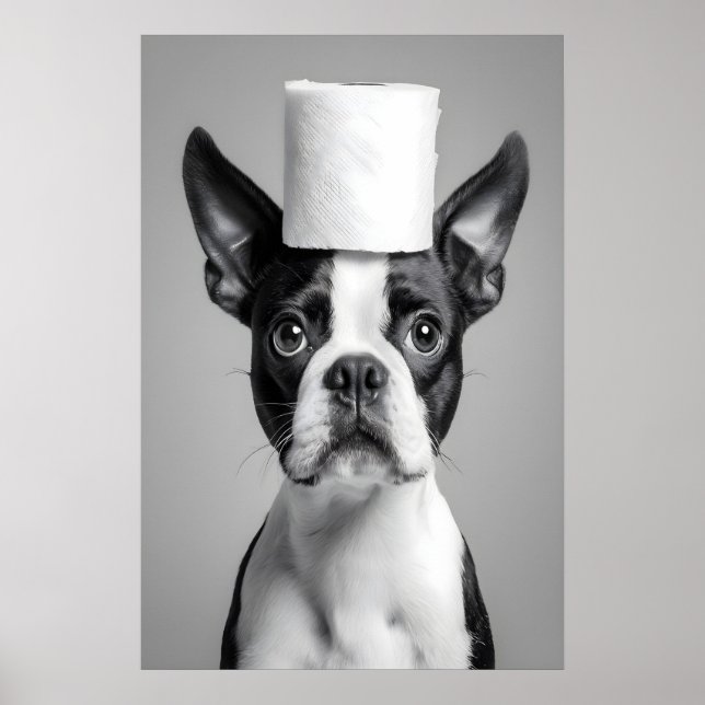 Funny Boston Terrier Bathroom Print, Toilet Paper Poster (Front)