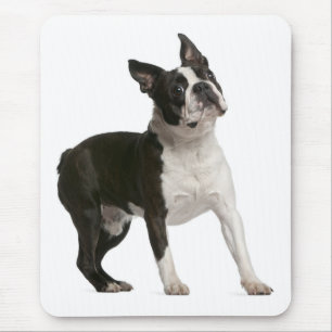 Funny Boston Terrier Gifts Cute Puppy Dog Lovers Mouse Pad