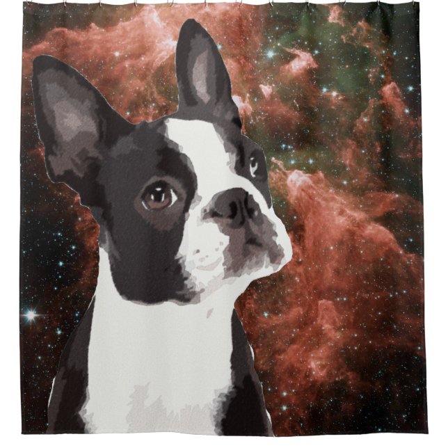 Funny Boston Terrier in Space Shower Curtain (Front)