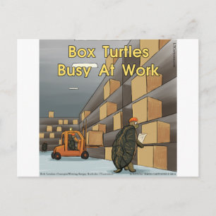 Funny Box Turtles At Work Postcard