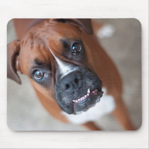 Funny boxer dog mouse pad