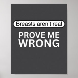 Funny, Breasts Aren't Real Prove Me Wrong Poster