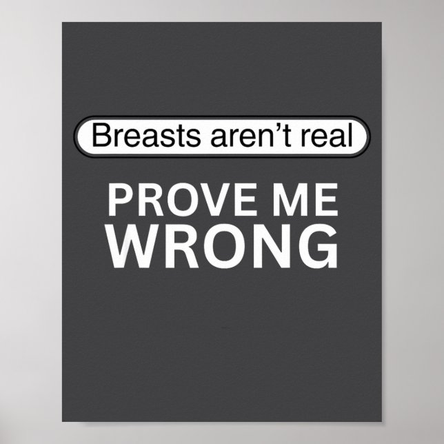 Funny, Breasts Aren't Real Prove Me Wrong  Poster (Front)