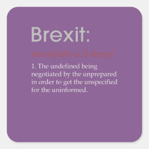 Funny Brexit defintion gift Square Sticker