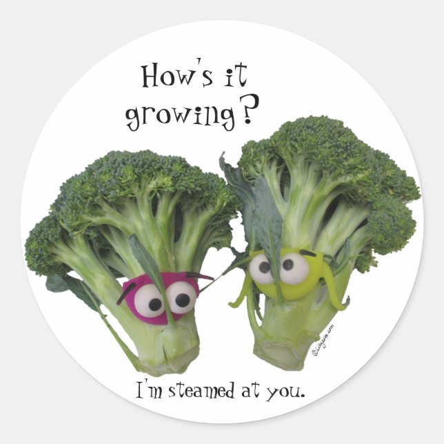 Funny Broccoli Talk Classic Round Sticker (Front)