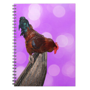 Funny Brown Rooster On A Fence Notebook