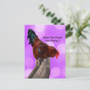 Funny Brown Rooster On A Fence Postcard