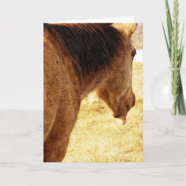 Funny Buckskin Card (Front)