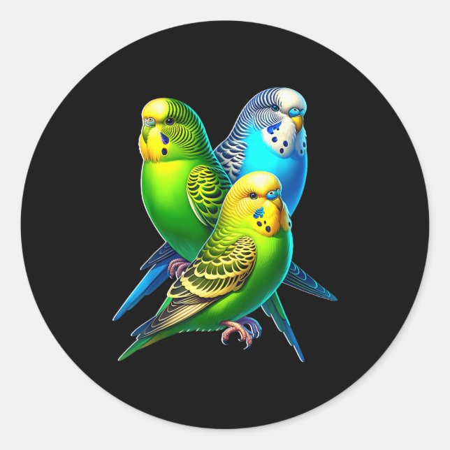 Funny Budgie Budgerigar Design  Classic Round Sticker (Front)