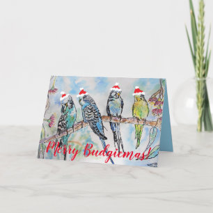 Funny Budgie Budgerigar Joyeuse carte de Noël