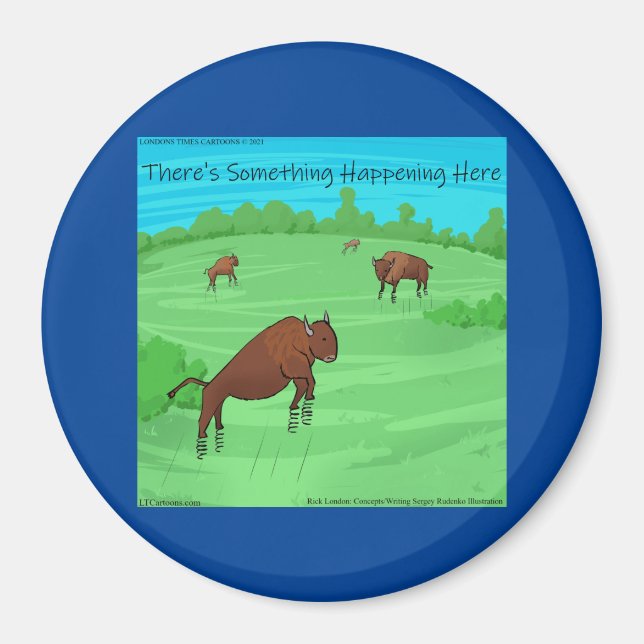Funny Buffalo Springfield For What Its Worth  Magnet (Front)