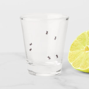 Funny Bug Ant Crawling Party  Shot Glass
