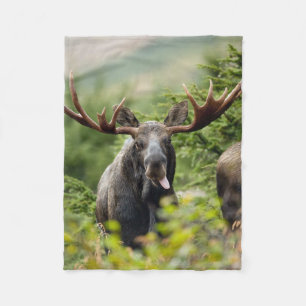 Funny Bull Moose Fleece Blanket