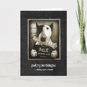 Funny Bull Terrier "Mug Shot" Greeting Card
