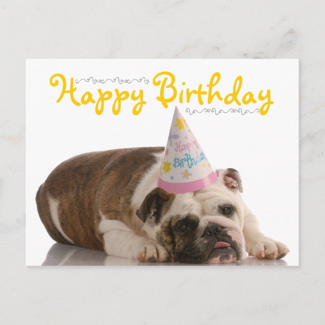 Funny Bulldog Birthday Postcard (Front)