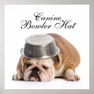 Funny Bulldog Fashion - Poster - srf