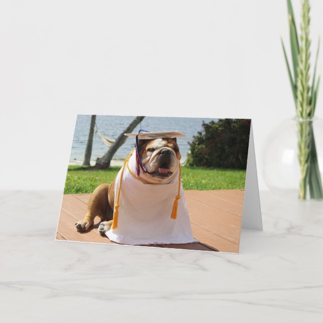 Funny bulldog graduation card (Front)