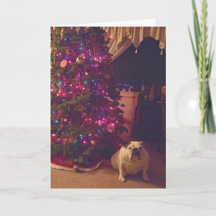 Funny Bulldog Photo Carte de Noël