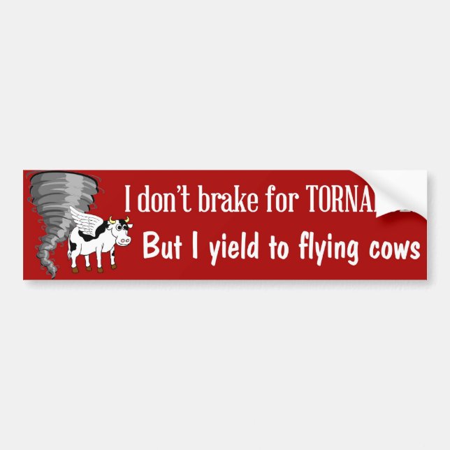 Funny bumper sticker yield to flying cows (Front)