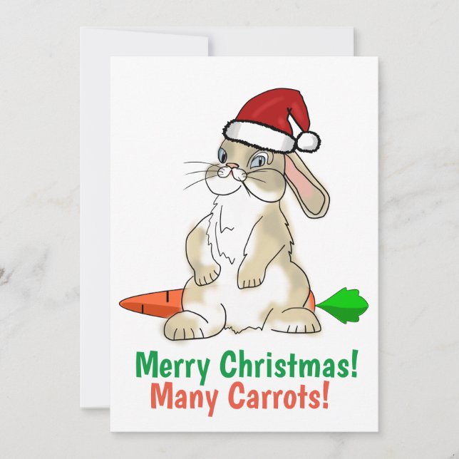 Funny Bunny Merry Christmas Holiday Card (Front)