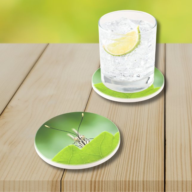 Funny Butterfly Peeks Over Leaf Coaster (Colorful and funny, this peeking butterfly is a popular design and great for Father's Day.)