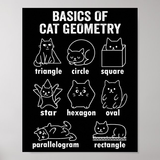 Funny Bysics Of Cat Geometry Byck To School Math T Poster (Front)