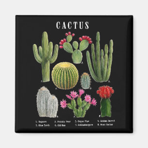 Funny cactus species chart magnet