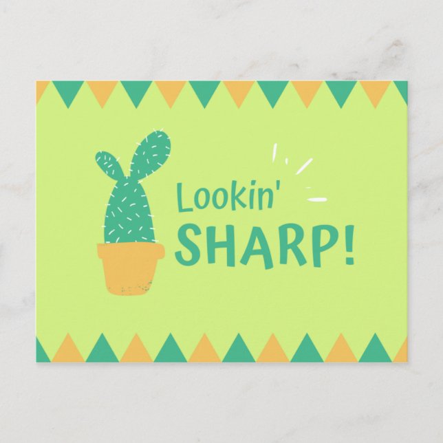 Funny Cactus Triangles Postcard (Front)