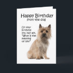 Funny Cairn Terrier Birthday Card<br><div class="desc">This Birthday Card ins't JUST for Cairn Terrier lovers.</div>