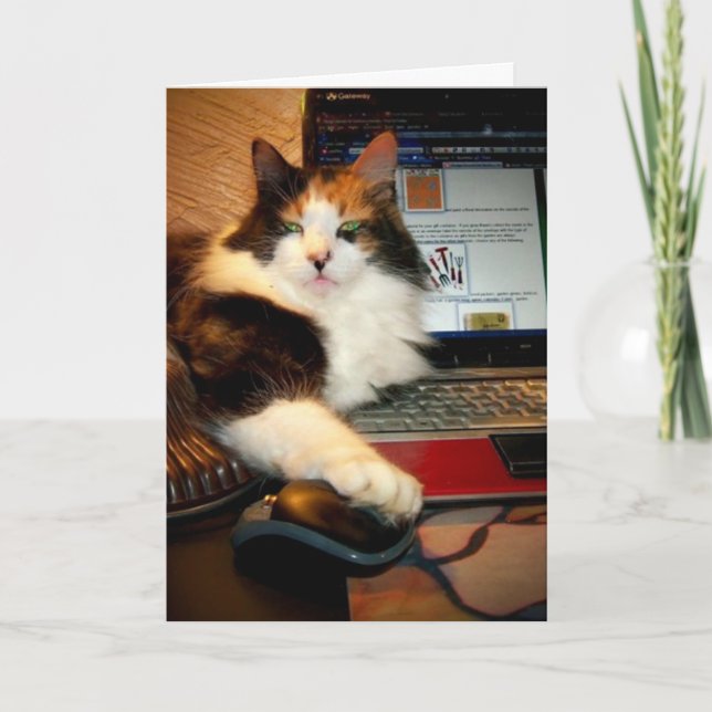 Funny Calico Carte de voeux de chat (Devant)