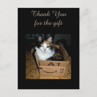 Funny Calico Cat in Box Thank You Postcard