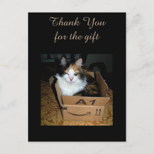 Funny Calico Chat en boîte Merci carte postale