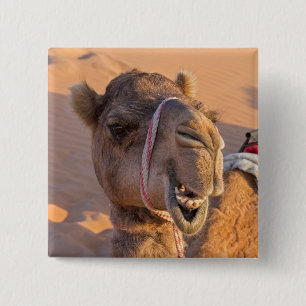 Funny Camel 2 Inch Square Button