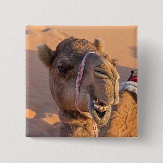 Funny Camel 2 Inch Square Button (Front)