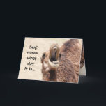 Funny Camel Hump Day Birthday Card<br><div class="desc">Funny Camel Hump Day Birthday Card</div>