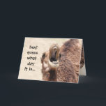 Funny Camel Hump Day Birthday Card<br><div class="desc">Funny Camel Hump Day Birthday Card</div>