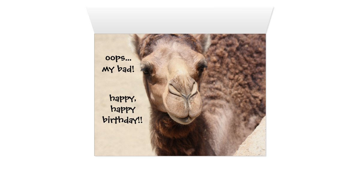 Funny Camel Hump Day Birthday Card Zazzle Ca