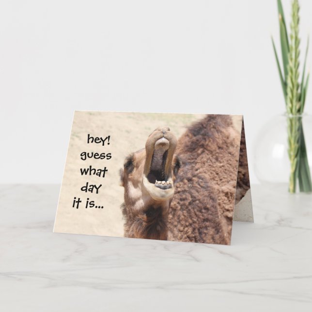 Funny Camel Hump Day Carte d'anniversaire (Devant)